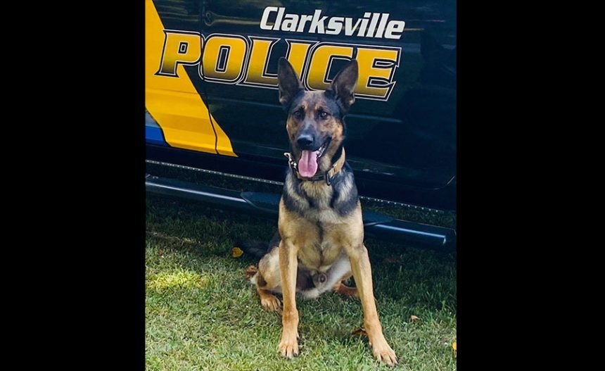 Family Donates Bullet Proof Vest for Clarksville Police K9 “Argo”