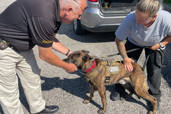 Bane Cover Police K9 Bane